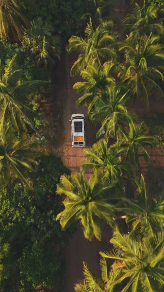 Campervan driving through palmtrees