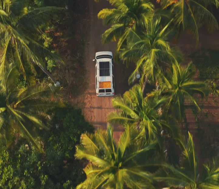 Campervan driving through palmtrees