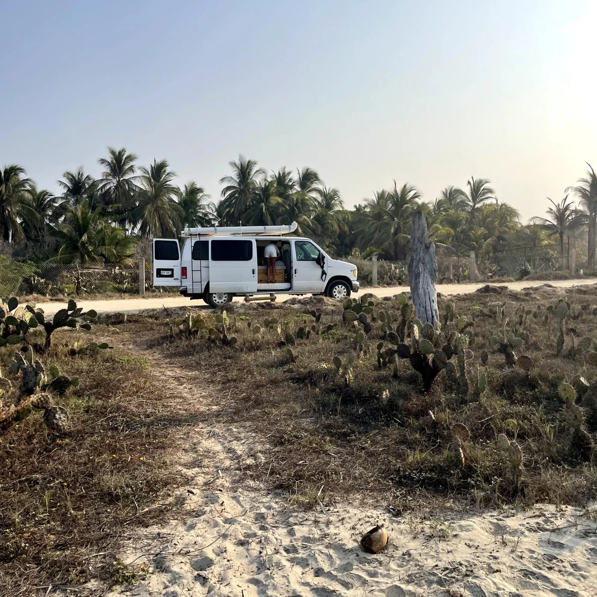 Van for rent with palmtrees