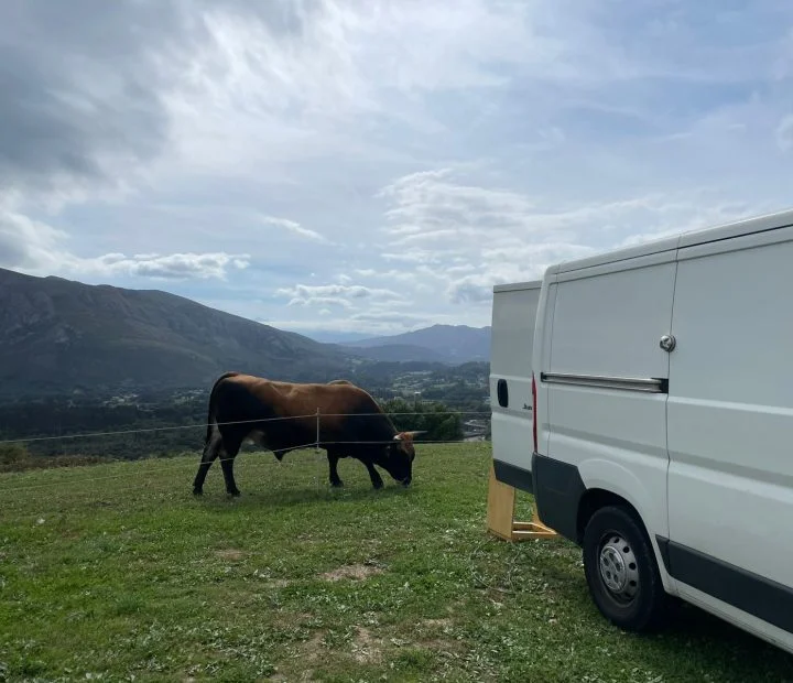 van rental parked in nature