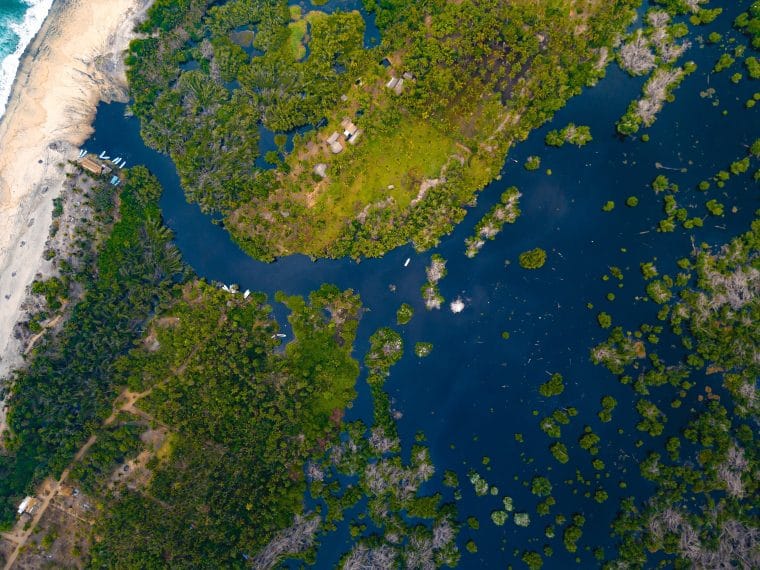 Laguna Ventanilla Oaxaca