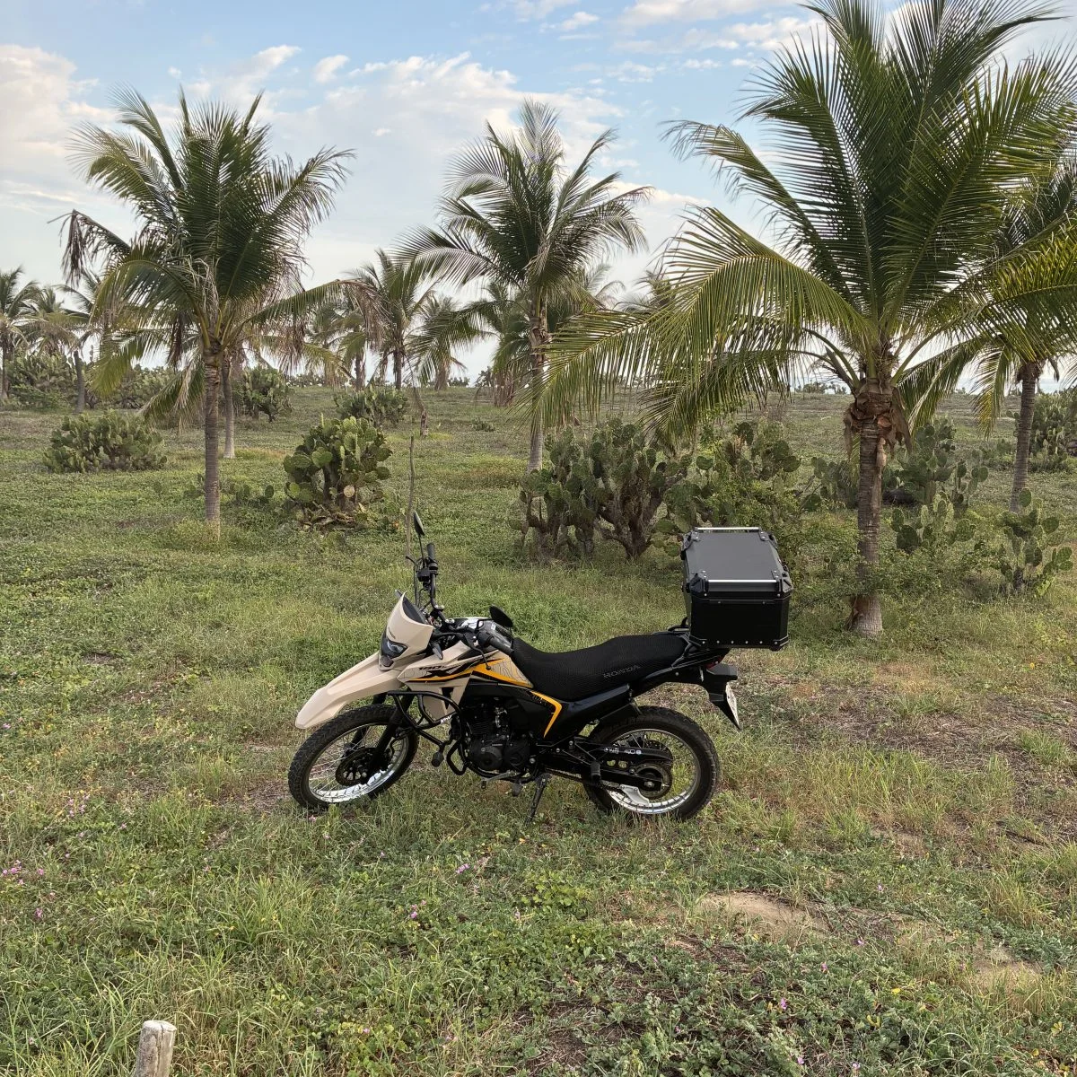 Moto Honda XR 190 Puerto Escondido