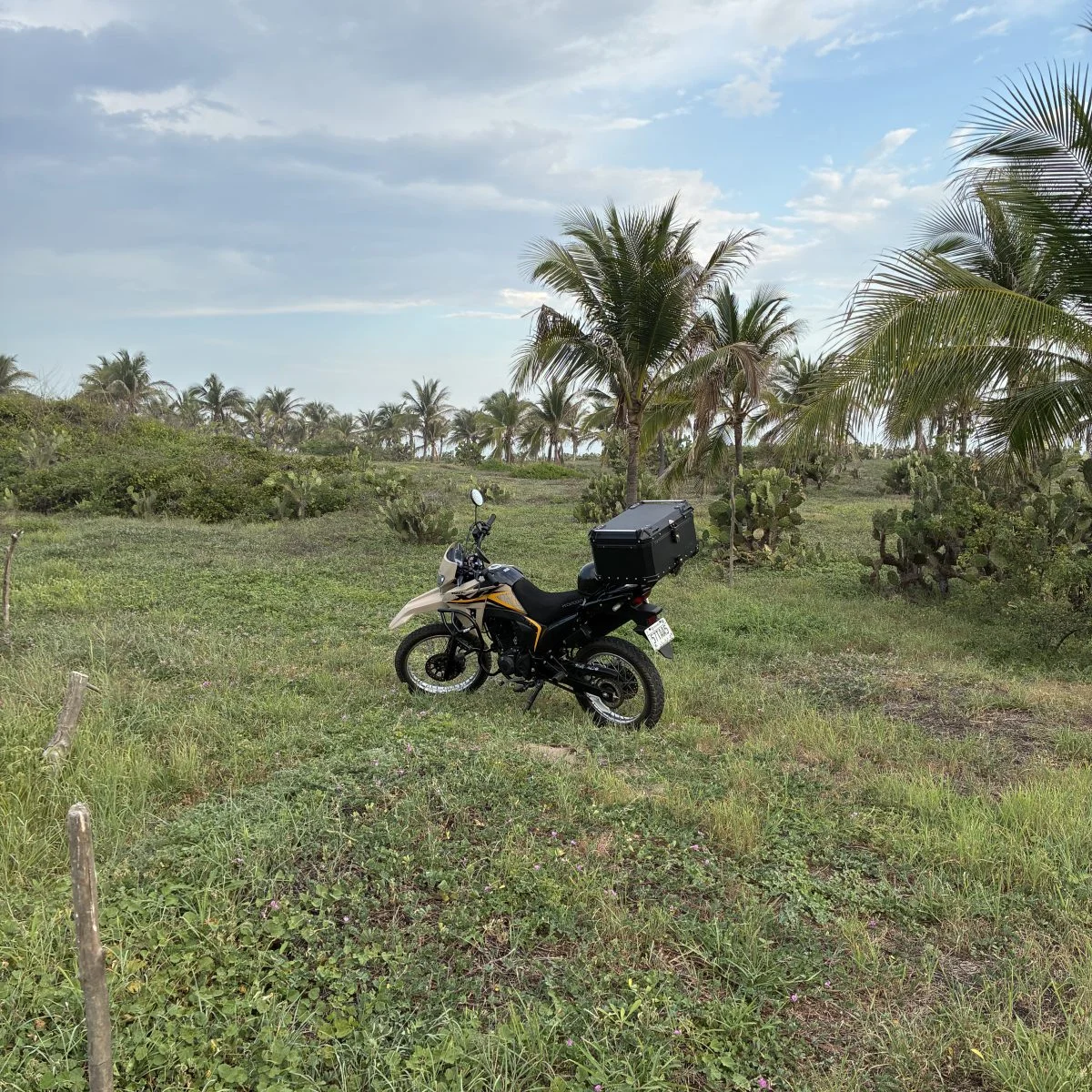 Puerto Escondido Moto Rental
