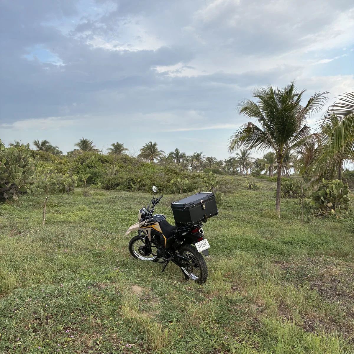 Trail bike for rent PXM
