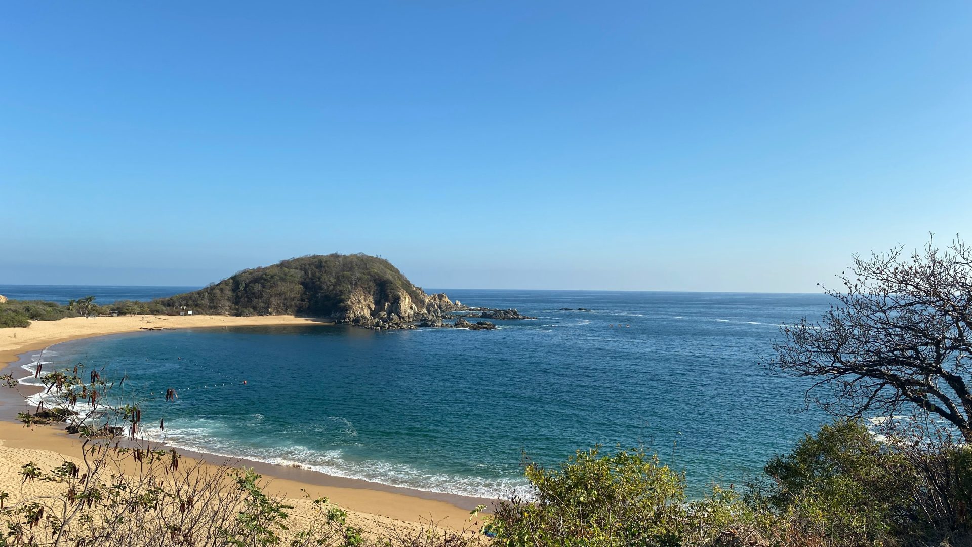 Huatulco bayas