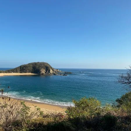 Huatulco bayas