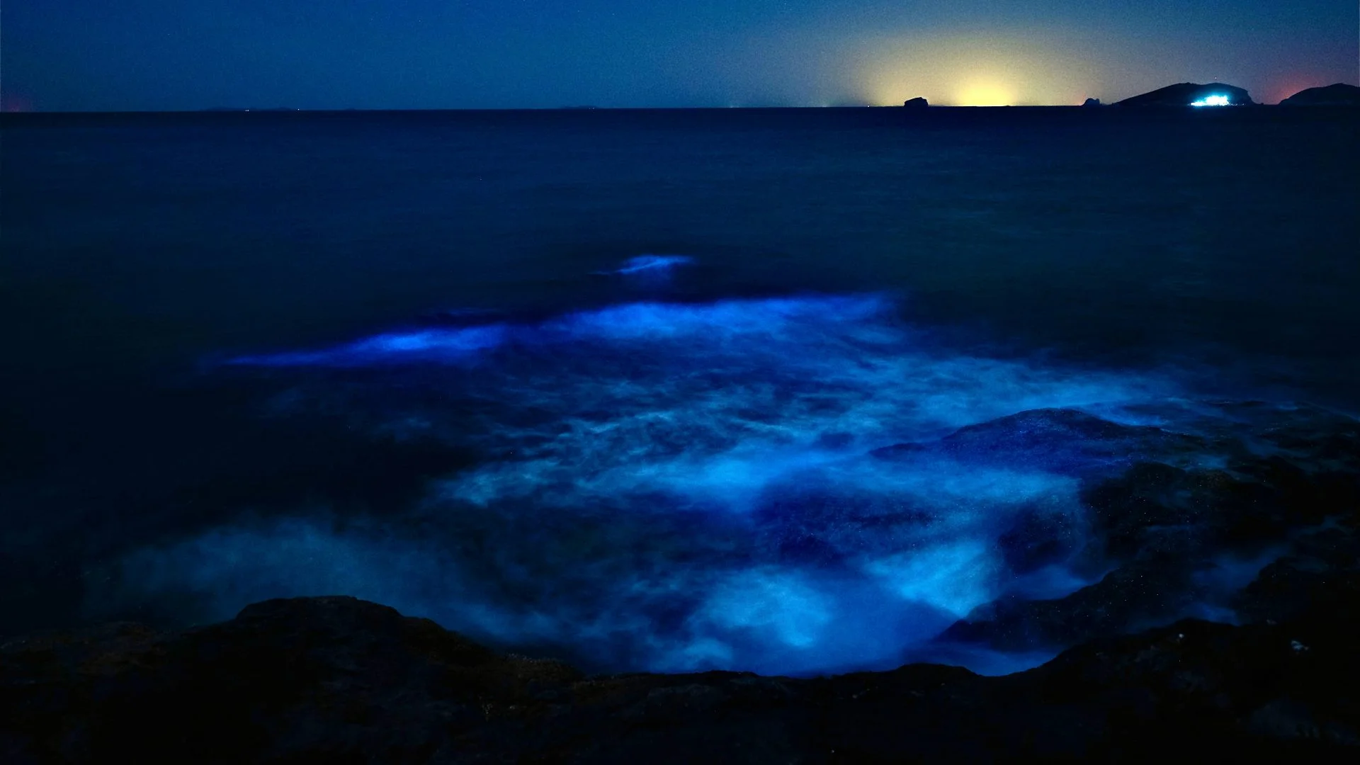 Bioluminescence